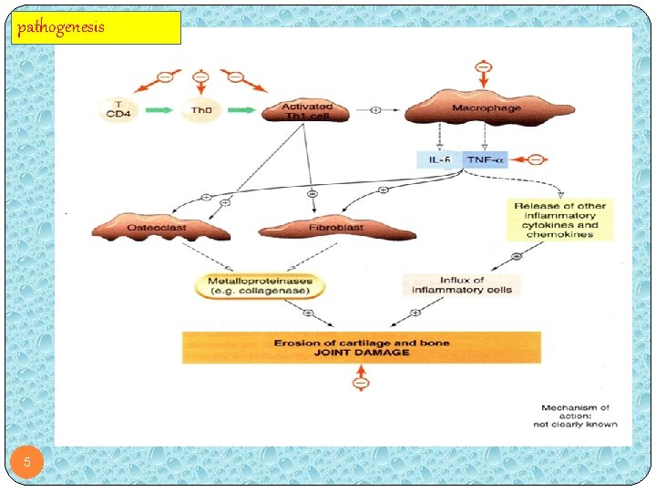 Glucocorticoids Hydroxychloroquine Tocilizumab Methotrexate Infliximab pathogenesis 5 