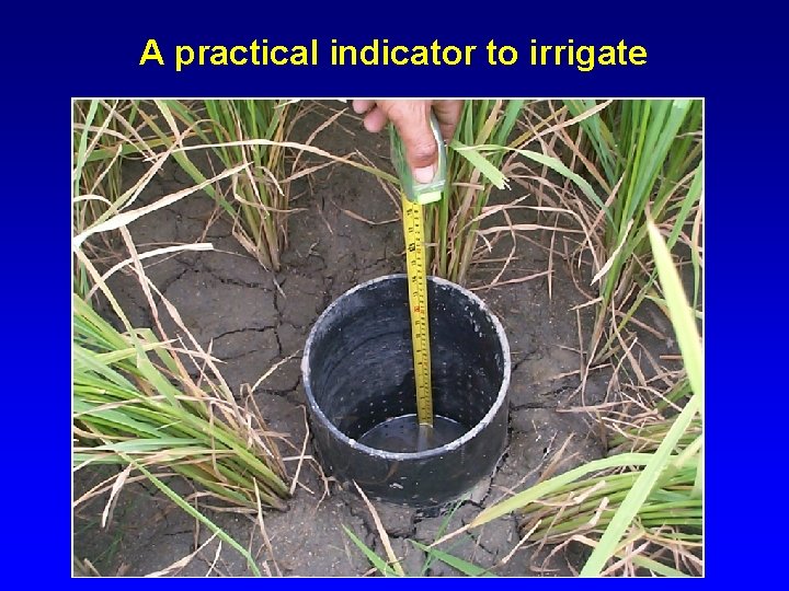 A practical indicator to irrigate 