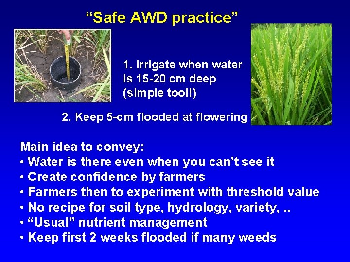 “Safe AWD practice” 1. Irrigate when water is 15 -20 cm deep (simple tool!)