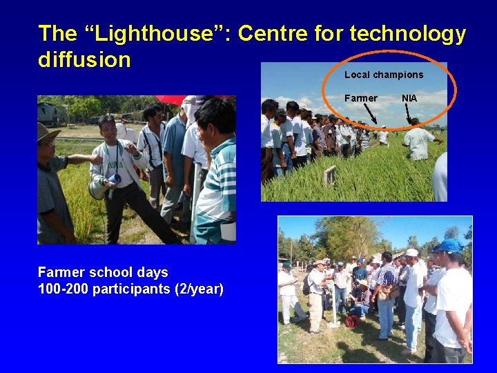 The “Lighthouse”: Centre for technology diffusion Local champions Farmer school days 100 -200 participants