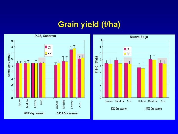 Grain yield (t/ha) 