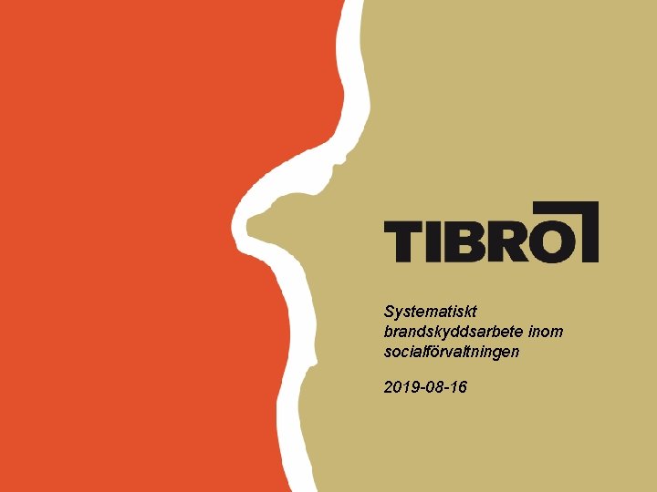Systematiskt brandskyddsarbete inom socialförvaltningen 2019 -08 -16 