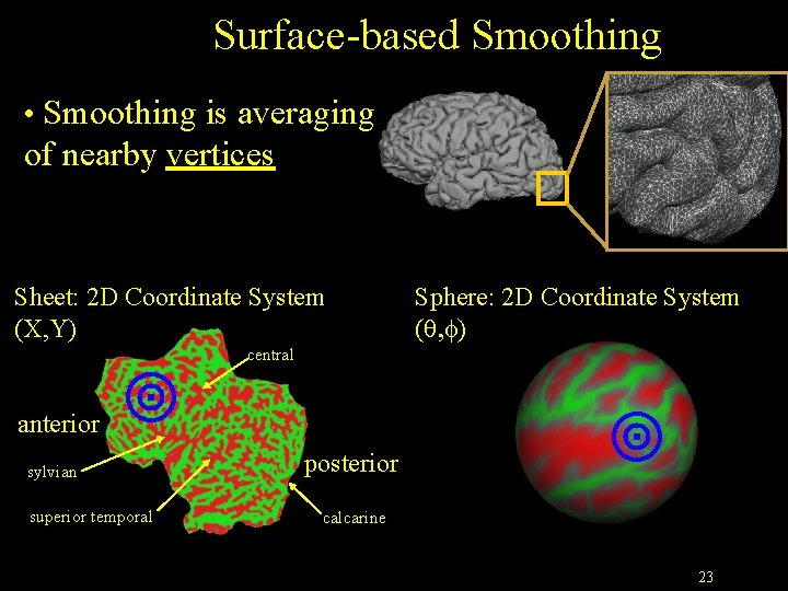 Surface-based Smoothing • Smoothing is averaging of nearby vertices Sheet: 2 D Coordinate System