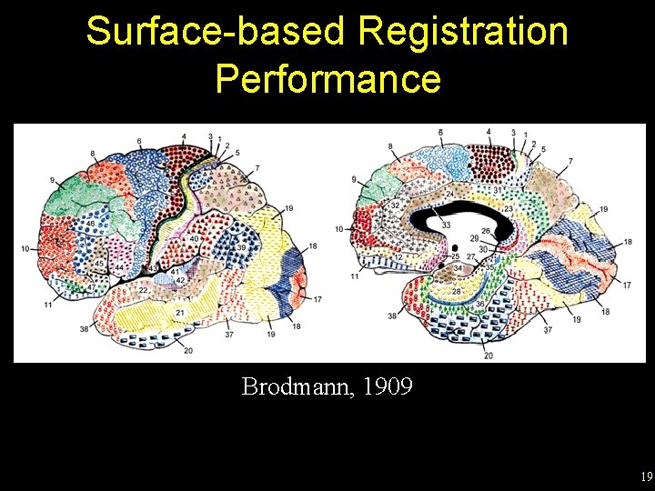 Surface-based Registration Performance Brodmann, 1909 19 