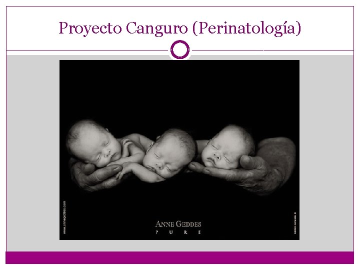 Proyecto Canguro (Perinatología) 