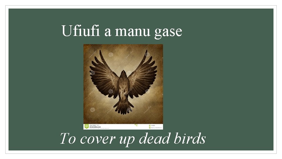 Ufiufi a manu gase To cover up dead birds 