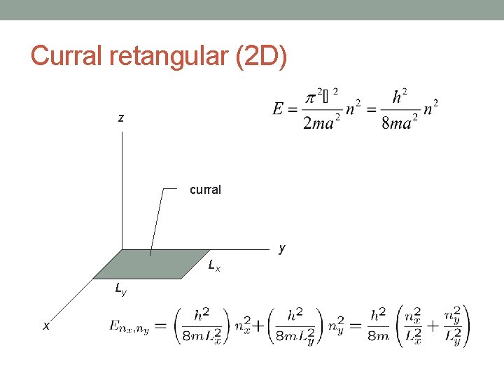 Curral retangular (2 D) z curral y Lx Ly x 