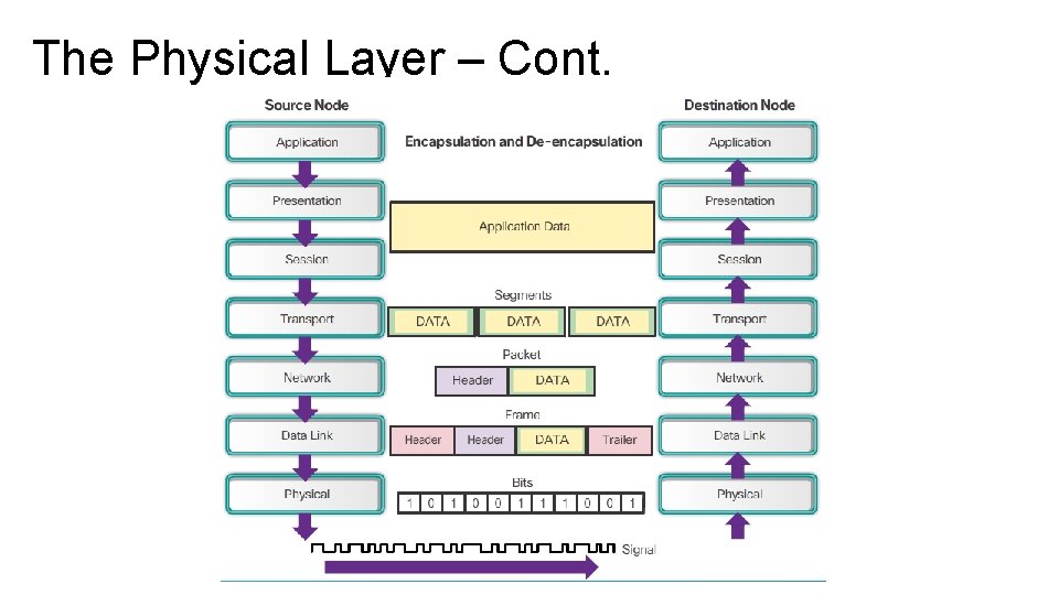 The Physical Layer – Cont. The Physical Layer – Cont.