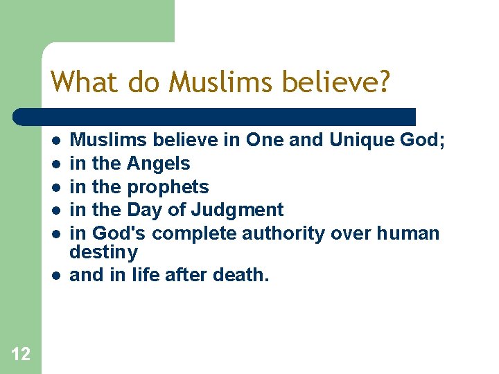 What do Muslims believe? l l l 12 Muslims believe in One and Unique