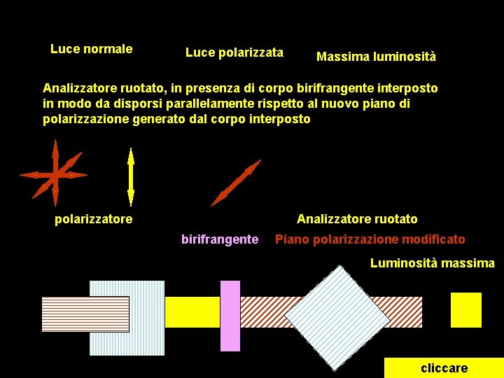 Luce normale Luce polarizzata Massima luminosità Analizzatore ruotato, in presenza di corpo birifrangente interposto