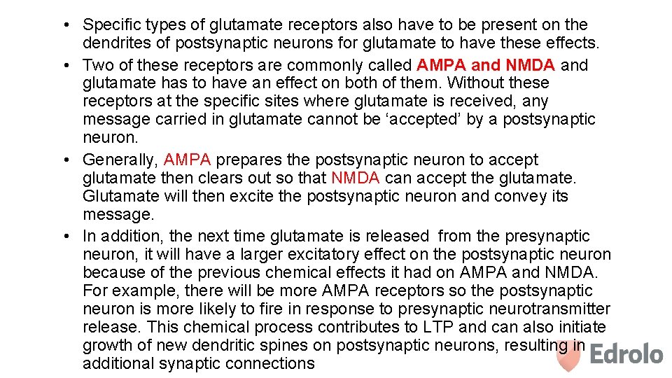  • Specific types of glutamate receptors also have to be present on the