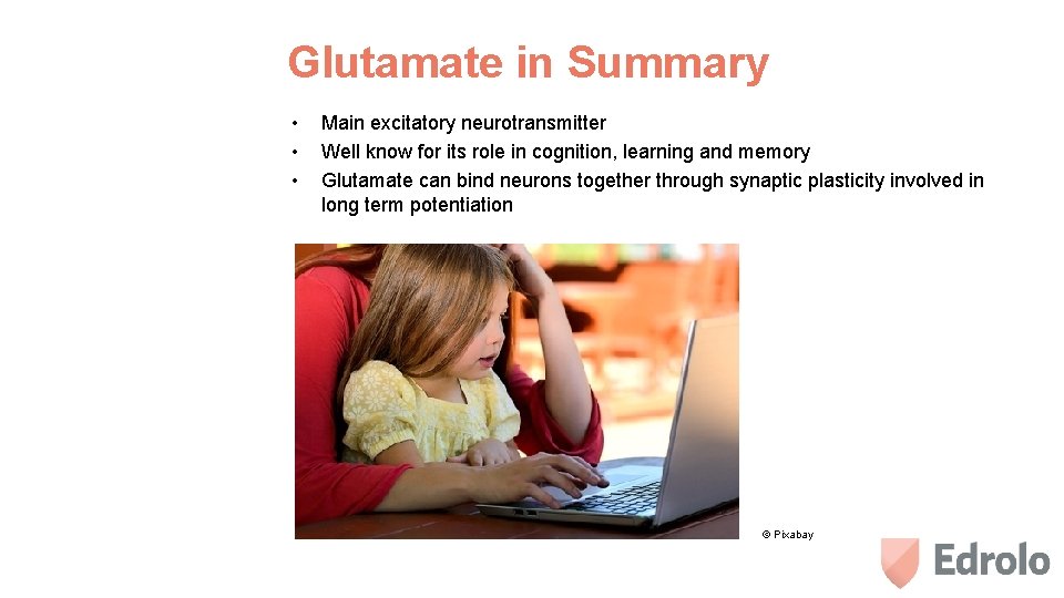 Glutamate in Summary • • • Main excitatory neurotransmitter Well know for its role