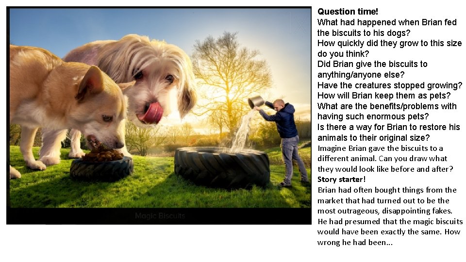 Question time! What had happened when Brian fed the biscuits to his dogs? How