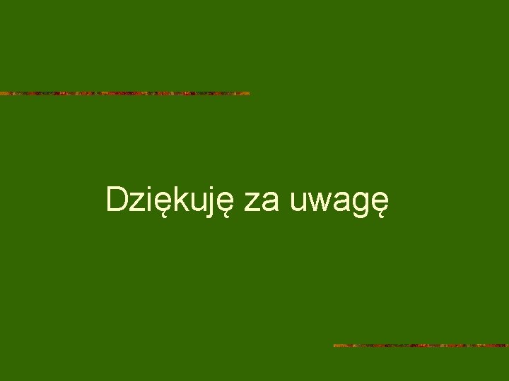 Dziękuję za uwagę 