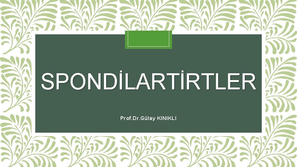 SPONDİLARTİRTLER Prof. Dr. Gülay KINIKLI 