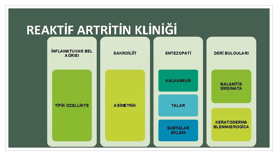 REAKTİF ARTRİTİN KLİNİĞİ İNFLAMATUVAR BEL AĞRISI SAKROİLİİT ENTEZOPATİ KALKANEUS TİPİK ÖZELLİKTE ASİMETRİK DERİ BULGULARI