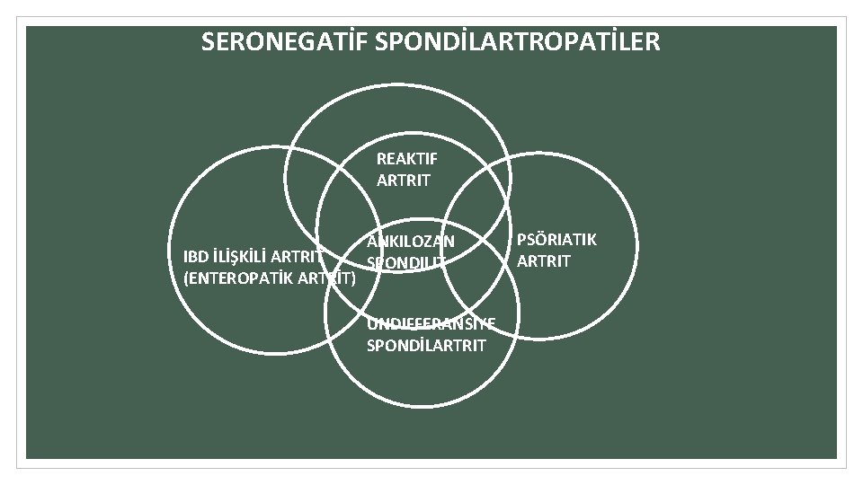 SERONEGATİF SPONDİLARTROPATİLER REAKTIF ARTRIT IBD İLİŞKİLİ ARTRIT (ENTEROPATİK ARTRİT) ANKILOZAN SPONDILIT UNDIFFERANSIYE SPONDİLARTRIT PSÖRIATIK SERONEGATİF SPONDİLARTROPATİLER REAKTIF ARTRIT IBD İLİŞKİLİ ARTRIT (ENTEROPATİK ARTRİT) ANKILOZAN SPONDILIT UNDIFFERANSIYE SPONDİLARTRIT PSÖRIATIK