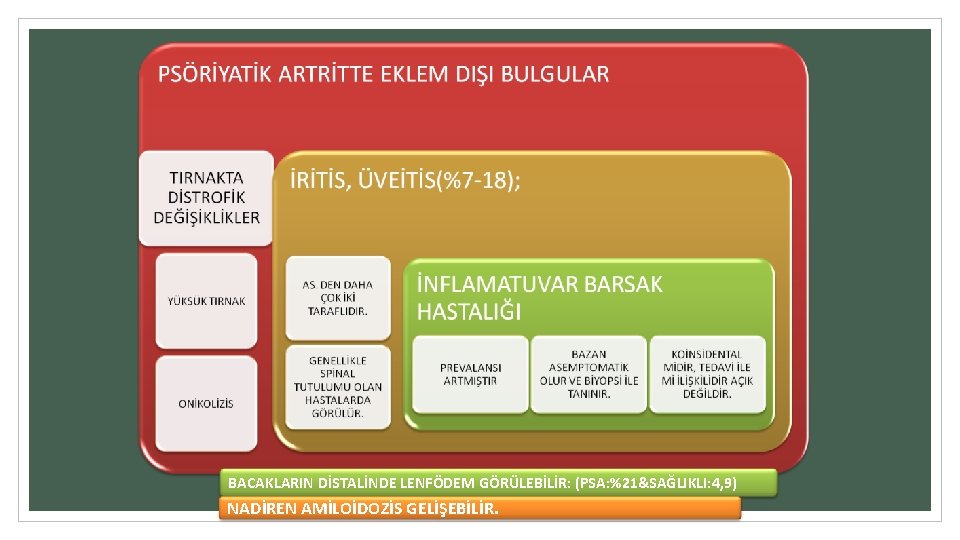 BACAKLARIN DİSTALİNDE LENFÖDEM GÖRÜLEBİLİR: (PSA: %21&SAĞLIKLI: 4, 9) NADİREN AMİLOİDOZİS GELİŞEBİLİR. 