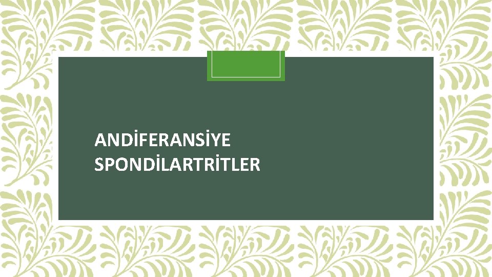 ANDİFERANSİYE SPONDİLARTRİTLER ANDİFERANSİYE SPONDİLARTRİTLER
