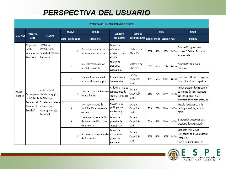 PERSPECTIVA DEL USUARIO 