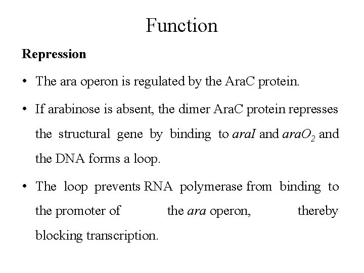 Function Repression • The ara operon is regulated by the Ara. C protein. • Function Repression • The ara operon is regulated by the Ara. C protein. •