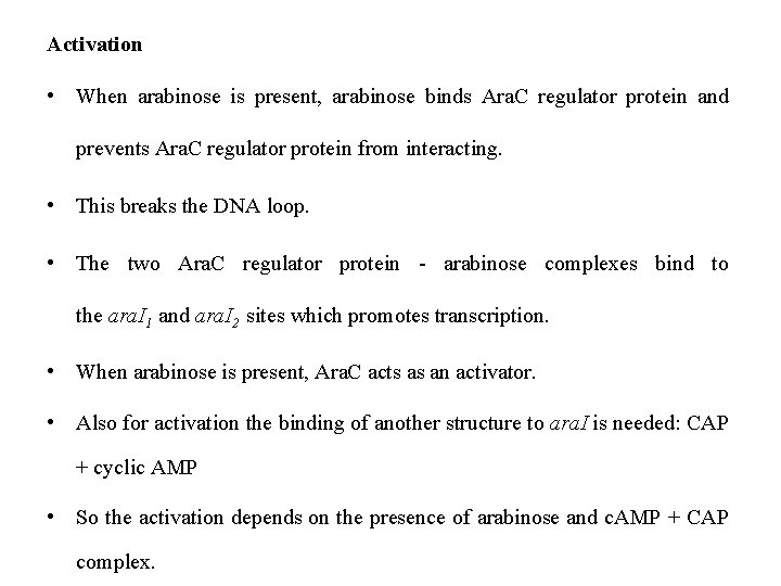 Activation • When arabinose is present, arabinose binds Ara. C regulator protein and prevents