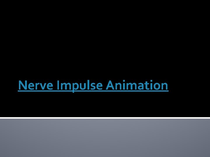 Nerve Impulse Animation 