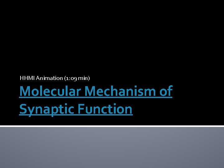 HHMI Animation (1: 09 min) Molecular Mechanism of Synaptic Function 