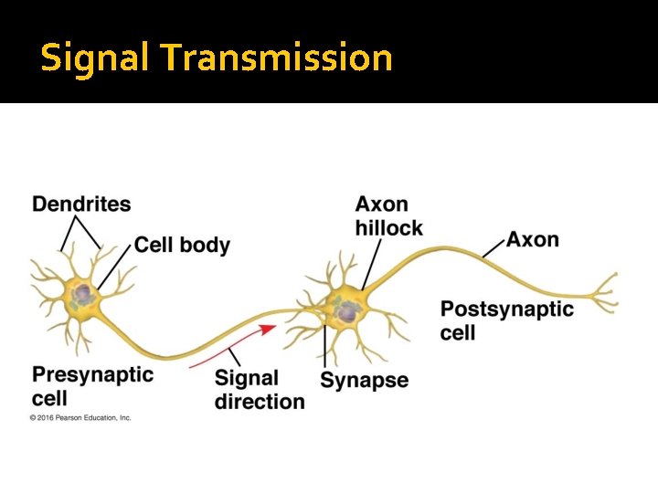 Signal Transmission 