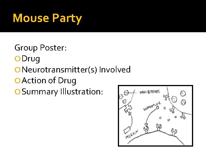 Mouse Party Group Poster: Drug Neurotransmitter(s) Involved Action of Drug Summary Illustration: 