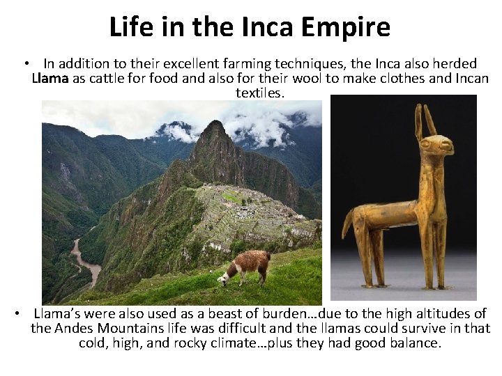 Life in the Inca Empire • In addition to their excellent farming techniques, the
