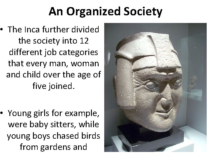 An Organized Society farmlands. • The Inca further divided the society into 12 different