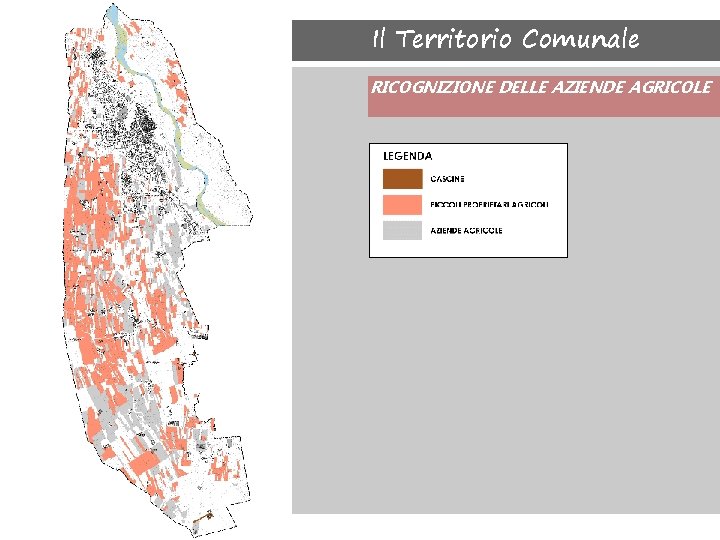 Il Territorio Comunale RICOGNIZIONE DELLE AZIENDE AGRICOLE 