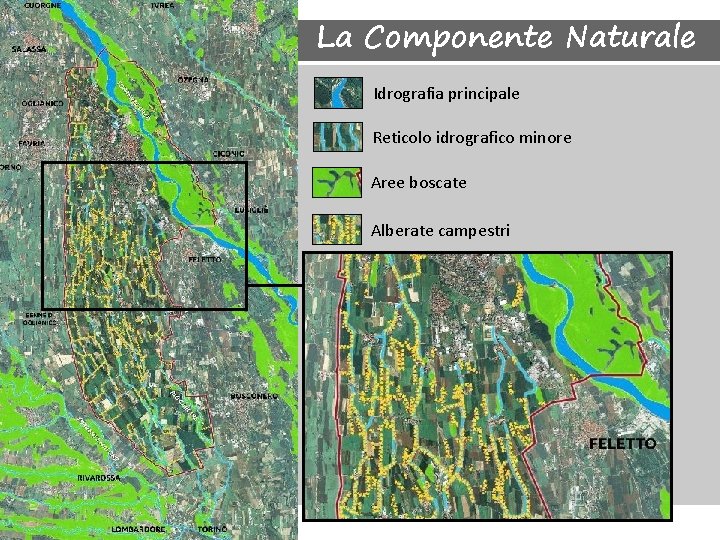 La Componente Naturale Idrografia principale Reticolo idrografico minore Aree boscate Alberate campestri 