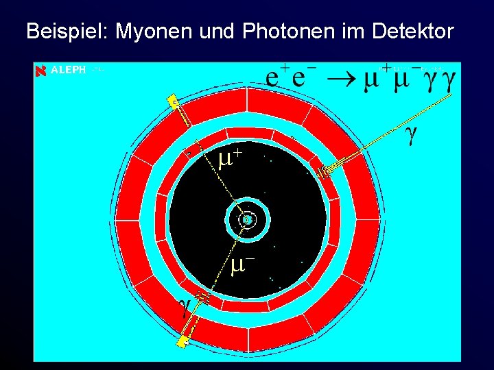 Beispiel: Myonen und Photonen im Detektor γ γ 