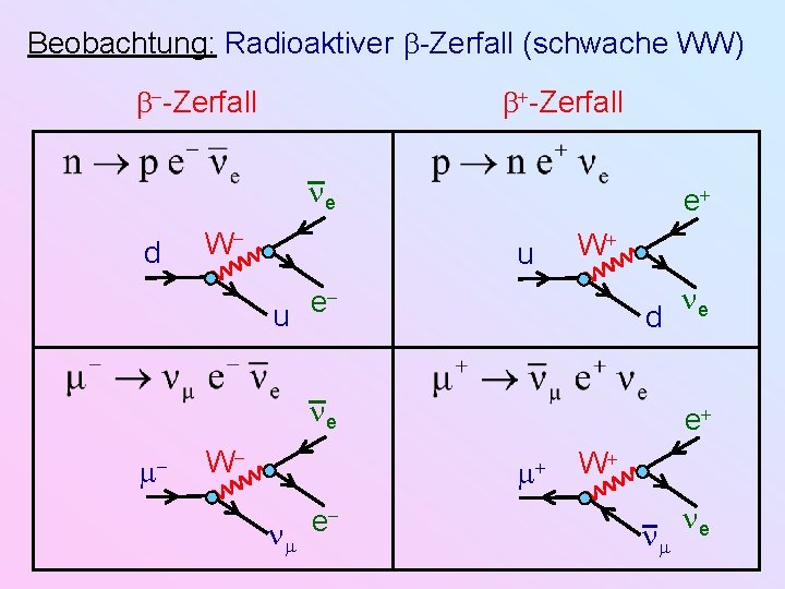 Beobachtung: Radioaktiver -Zerfall (schwache WW) -Zerfall e d W e u W e u