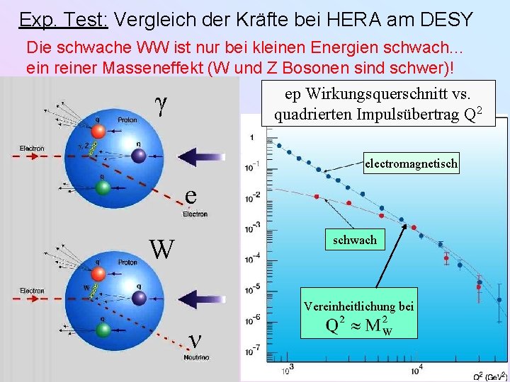 Exp. Test: Vergleich der Kräfte bei HERA am DESY Die schwache WW ist nur Exp. Test: Vergleich der Kräfte bei HERA am DESY Die schwache WW ist nur