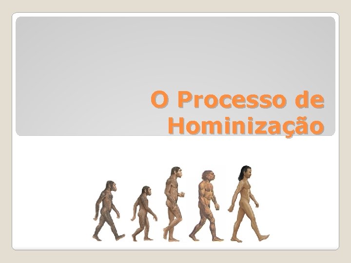 O Processo de Hominização 