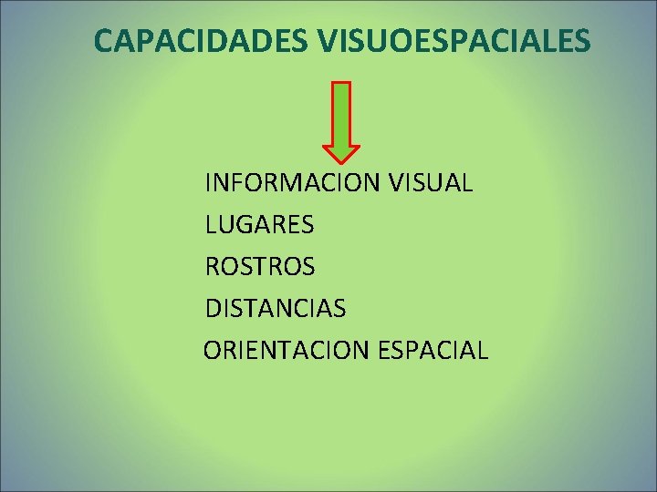 CAPACIDADES VISUOESPACIALES INFORMACION VISUAL LUGARES ROSTROS DISTANCIAS ORIENTACION ESPACIAL CAPACIDADES VISUOESPACIALES INFORMACION VISUAL LUGARES ROSTROS DISTANCIAS ORIENTACION ESPACIAL