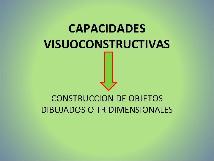 CAPACIDADES VISUOCONSTRUCTIVAS CONSTRUCCION DE OBJETOS DIBUJADOS O TRIDIMENSIONALES CAPACIDADES VISUOCONSTRUCTIVAS CONSTRUCCION DE OBJETOS DIBUJADOS O TRIDIMENSIONALES