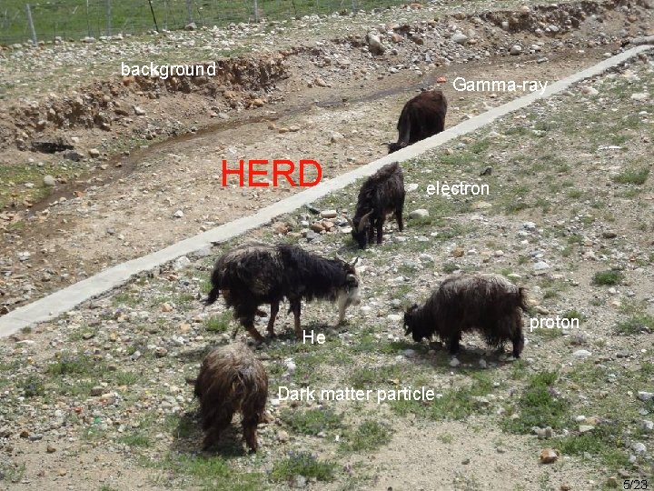 background Gamma-ray HERD electron He proton Dark matter particle 5/35 5/23 background Gamma-ray HERD electron He proton Dark matter particle 5/35 5/23