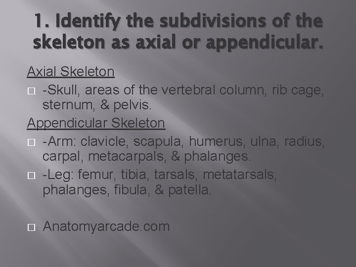1. Identify the subdivisions of the skeleton as axial or appendicular. Axial Skeleton �
