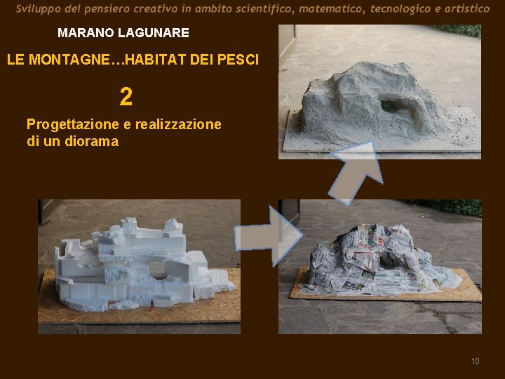 MARANO LAGUNARE LE MONTAGNE…HABITAT DEI PESCI 2 Progettazione e realizzazione di un diorama 10