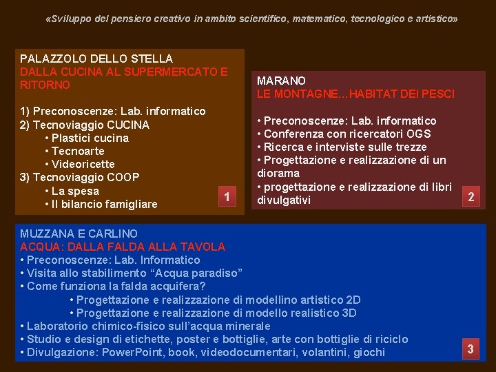  «Sviluppo del pensiero creativo in ambito scientifico, matematico, tecnologico e artistico» PALAZZOLO DELLO