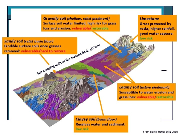 Gravelly soil (shallow, relict piedmont) Limestone Surface soil water limited, high risk for grass