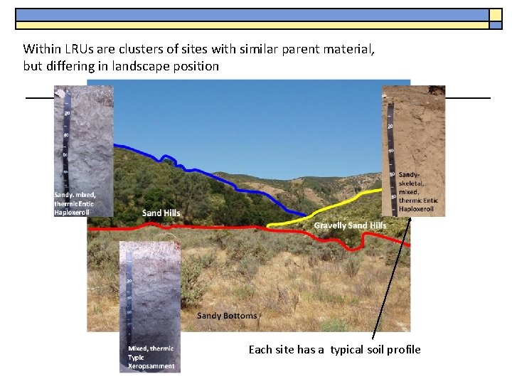 Within LRUs are clusters of sites with similar parent material, but differing in landscape