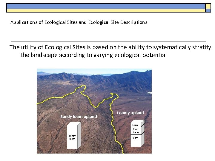 Applications of Ecological Sites and Ecological Site Descriptions The utility of Ecological Sites is