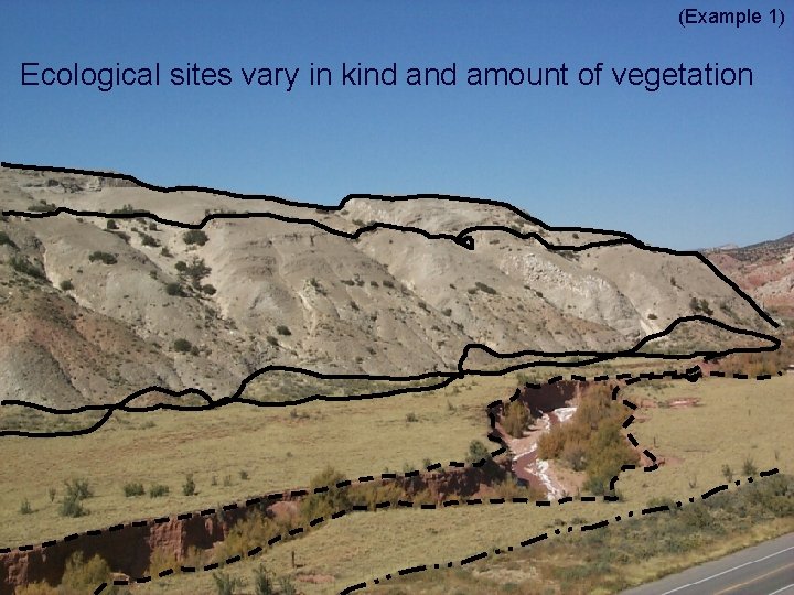 (Example 1) Ecological sites vary in kind amount of vegetation 