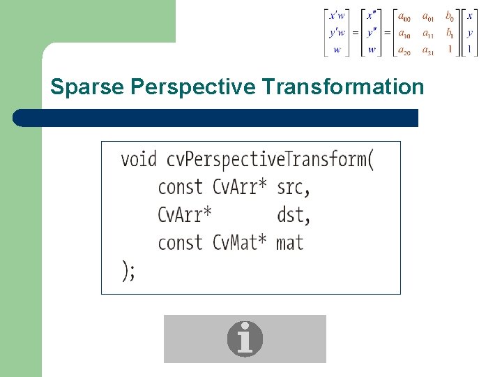 Sparse Perspective Transformation 