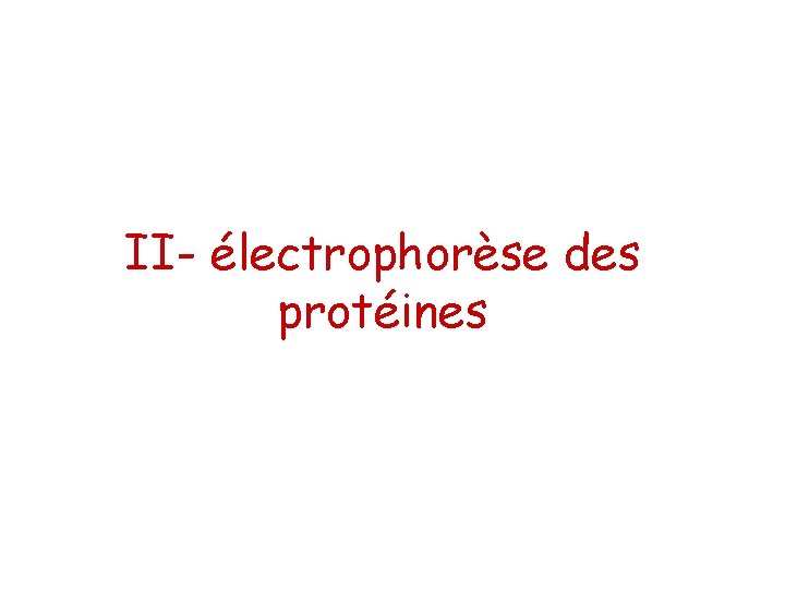 II- électrophorèse des protéines 